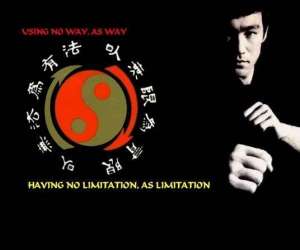 photo Jeet kune do kali -silat villeneuve les beziers Villeneuve Les Beziers 10551