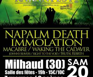 photo Rakan musiques Nimes 11502