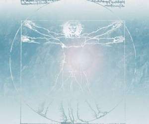 Frederic Cazal - Osteopathe Animalier, Canin Et Equin Frederic Cazal - Osteopathe Animalier, Canin Et Equin
