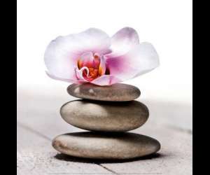 Le Lifting Par Acupuncture Le Lifting Par Acupuncture