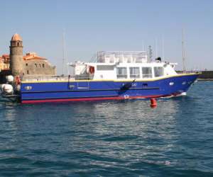 photo Collioure transports maritimes Collioure 11690