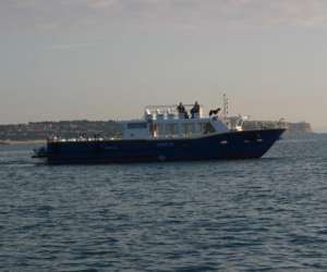 photo Collioure transports maritimes Collioure 11691