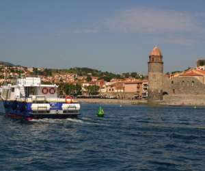 photo Collioure transports maritimes Collioure 11694