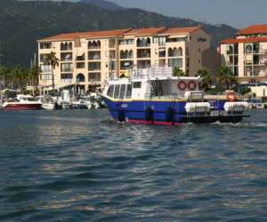 photo Collioure transports maritimes Collioure 11695
