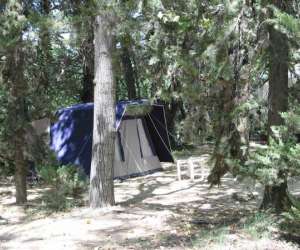 photo Camping le parc a lattes Lattes 8103