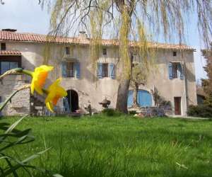 Ferme Equestre Du Mas Jean Gros