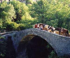 photo Ferme equestre du mas jean gros Montdardier 8444