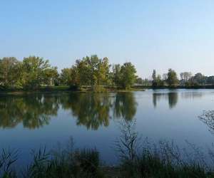 photo Etang de pche de vestric Vestric Et Candiac 8533
