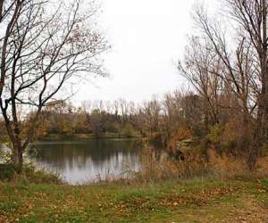 photo Etang de pche de vestric Vestric Et Candiac 8535