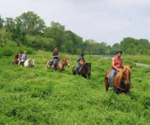photo Rando cheval & chariot  -tourisme equestre Palau Del Vidre 8567