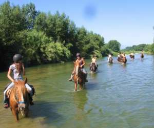 photo Rando cheval & chariot  -tourisme equestre Palau Del Vidre 8568