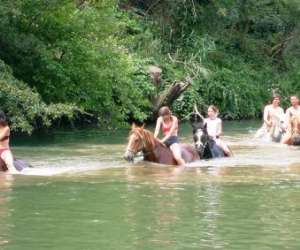 photo Rando cheval & chariot  -tourisme equestre Palau Del Vidre 8569