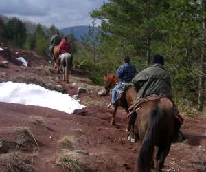 photo Rando cheval & chariot  -tourisme equestre Palau Del Vidre 8570