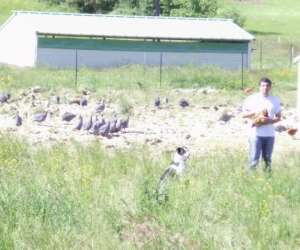 Famille Danjard, Ferme La Pouillerie