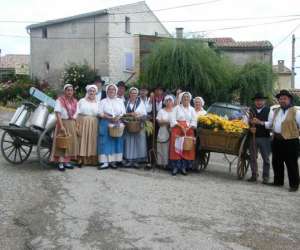 photo Association lou vesti d'antan Jonquieres St Vincent 8868
