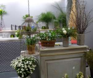 photo Rolande fleurs / fleuriste aux halles de narbonne Narbonne 8949