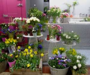 photo Rolande fleurs / fleuriste aux halles de narbonne Narbonne 8958