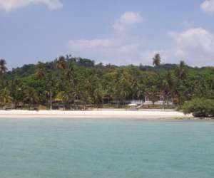 Visite  Des  Iles Tropicale -  Baie De Salvador Au Bres