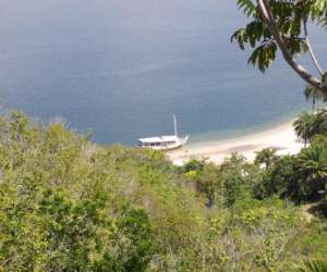 photo Visite  des  iles tropicale -  baie de salvador au bresil Laudun 9213