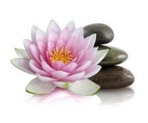 Zen Tuina : Massage Traditionnel Chinois Zen Tuina : Massage Traditionnel Chinois