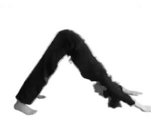 photo Cours et stages de yoga Narbonne 11369