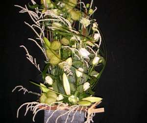 photo Fleurs daniel georges Nimes 9274
