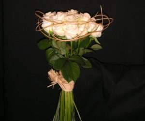 photo Fleurs daniel georges Nimes 9276