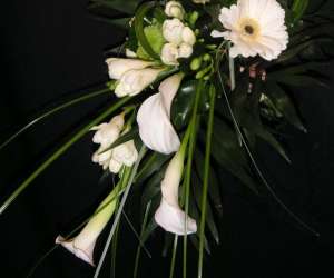 photo Fleurs daniel georges Nimes 9277