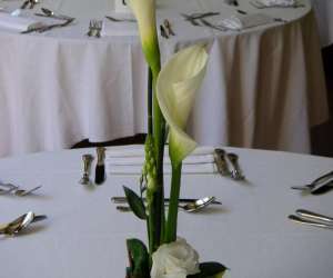 photo Fleurs daniel georges Nimes 9278