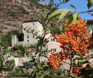 photo Gite la chabiscolle - location vacances Ste Enimie 9387