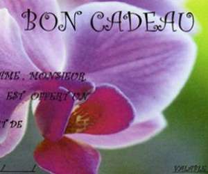 photo Lotus detente Castelnau Le Lez 10105