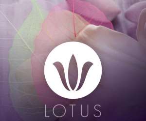 photo Lotus detente Castelnau Le Lez 11166