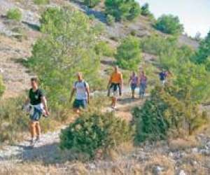 photo Camping la nautique Narbonne 12268