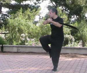 photo L'arbre de vie - tai chi chuan et qi gong   Montpellier 9809