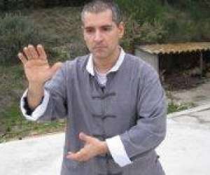 photo L'arbre de vie - tai chi chuan et qi gong   Montpellier 9810