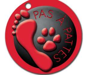 Pas A Pattes, Education Canine Et Autres Prestations Po