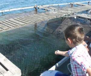 photo Bleu marin - decouverte en bateau des parcs a huitres Bouzigues 9883