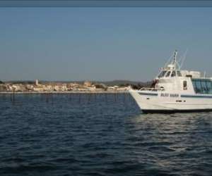 photo Bleu marin - decouverte en bateau des parcs a huitres Bouzigues 9885