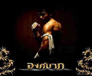 Muay Thai Montarnaud