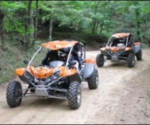 Buggy Balade 66