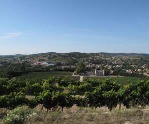 photo Cave sieur d'arques Limoux 11049