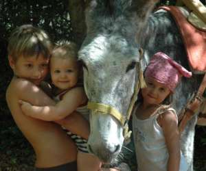 photo Sherp'anes les anes du causse La Vacquerie Et St Martin 12942