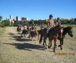 photo Centre equestre tipi jo Cournonterral 11146