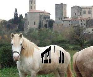 photo Centre equestre tipi jo Cournonterral 11147