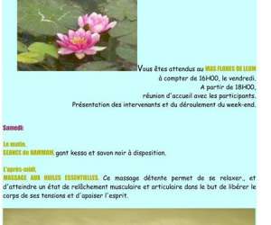 Eurl Flores De Llum Eurl Flores De Llum