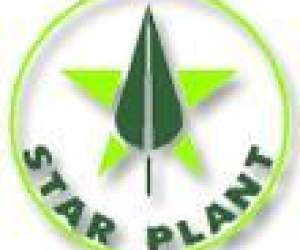 Plantes Pour Chantiers Et Jardinerie Plantes Pour Chantiers Et Jardinerie