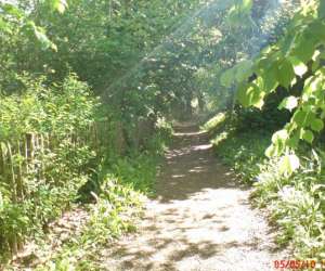 photo L'abri ctier location saisonniere meublee St Jean De Vedas 12327