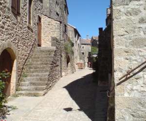 photo L'abri ctier location saisonniere meublee St Jean De Vedas 12329