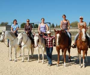 The Only Farm Western Horse Pension