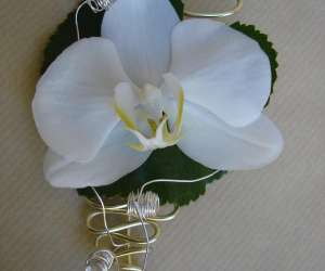 photo Dudinea artisans fleuristes Moussac 12462